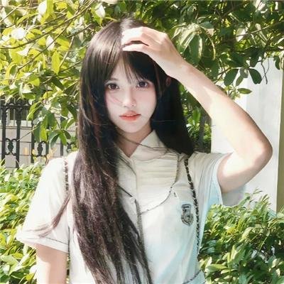 布拉多