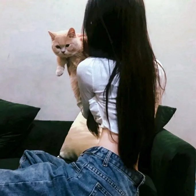 好女孩的谋杀调查指南